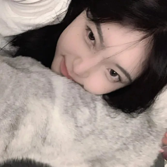 燕子与鹦鹉